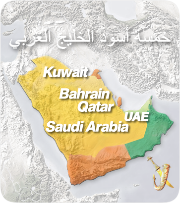 The Five Arabic economic Gulf Lions